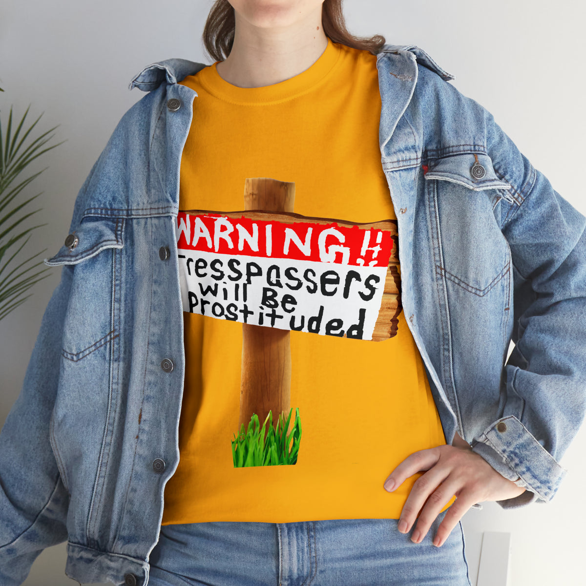 WARNING TRESSPASSERS WILL BE PROSTITUDED - Funny Unisex Heavy Cotton Tee - AUS