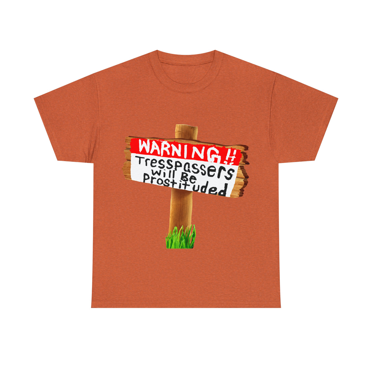 WARNING TRESSPASSERS WILL BE PROSTITUDED - Funny Unisex Heavy Cotton Tee - AUS