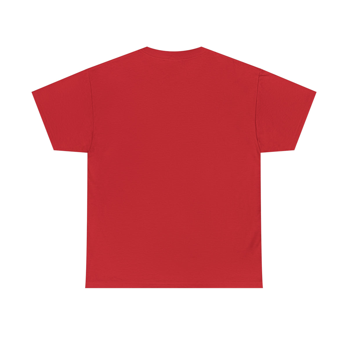 Don't have the TIME or the CRAYONS - Printed in the USA - Unisex Heavy Cotton Tee