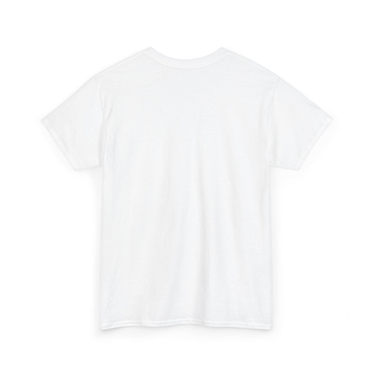 Latvian Survival Kit T-Shirt | Funny Latvian Gift | BalticAF