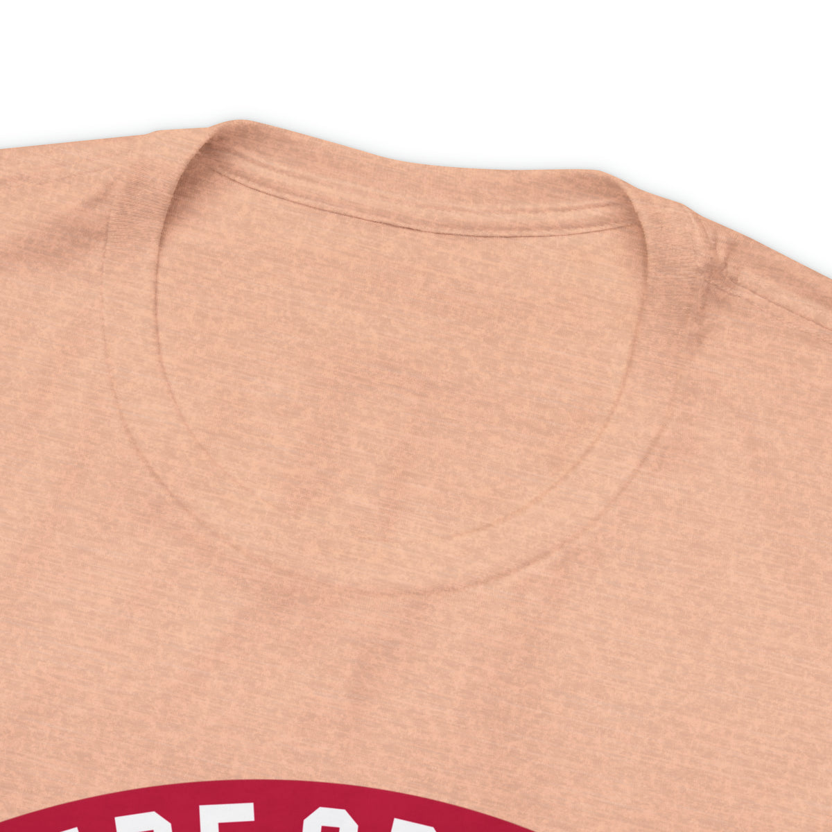 BIKER LIFESTYLE - Ride or Die - Unisex Jersey Short Sleeve Tee