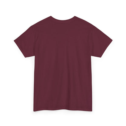 Latvian Survival Kit T-Shirt | Funny Latvian Gift | BalticAF