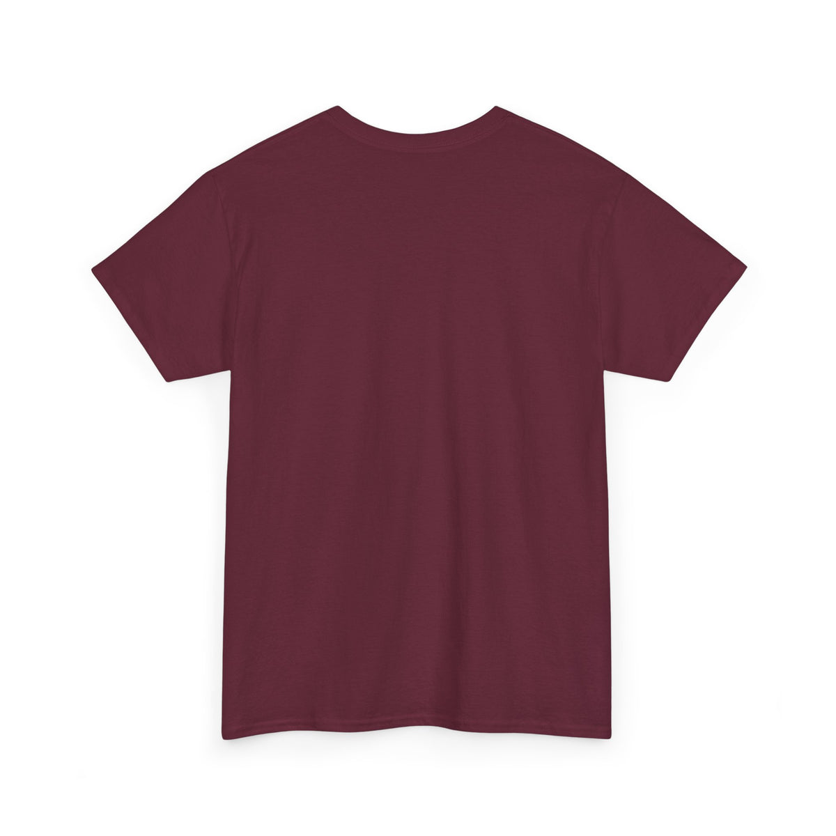 Latvian Pirts Sauna T-Shirt | Funny Latvian Sauna Gift | BalticAF